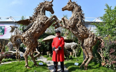 Chelsea Flower Show