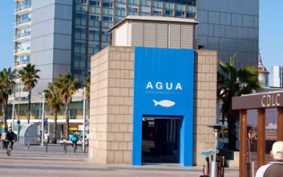 Agua