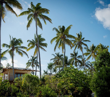 Фото Zanzibar White Sand Luxury Villas 11