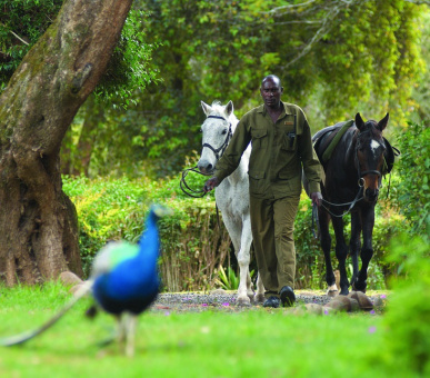 Фото Fairmont Mount Kenya Safari Club  (Кения, Национальный заповедник Масаи Мара) 21