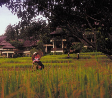 Фото Four Seasons Resort Chiang Mai (Таиланд, Чиангмай, Чианграй) 48