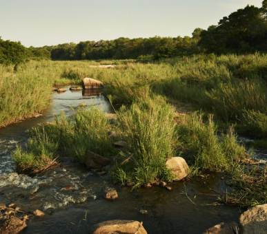 Фото Singita Ebony Lodge 7