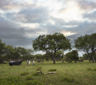 Фото Singita Castleton Camp  25