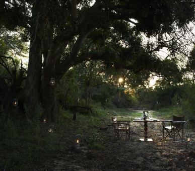 Фото Singita Boulders Lodge 22