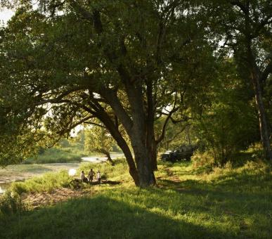 Фото Singita Ebony Lodge 8