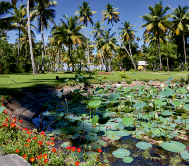 Фото Carnoustie Beach Resort  10