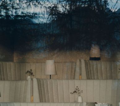 Фото Forestis 10