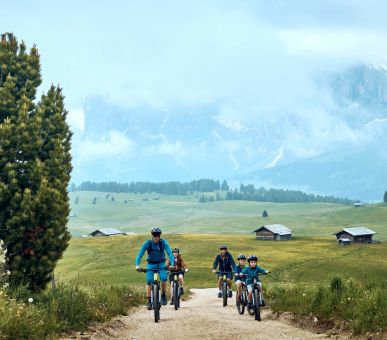 Фото COMO Alpina Dolomites 21