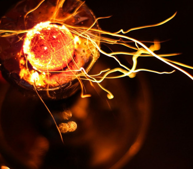 Фото Citadel Inn Hotel 35