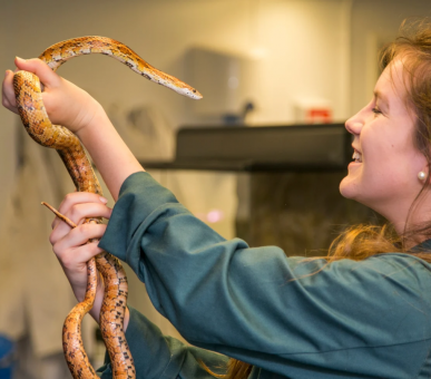 Картинка 6 Фото 6