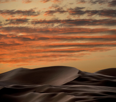 Фото Qasr Al Sarab Desert Resort by Anantara (ОАЭ, Абу-Даби) 14
