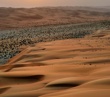 Фото Qasr Al Sarab Desert Resort by Anantara (ОАЭ, Абу-Даби) 24