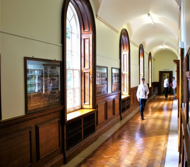 Фото Bryanston School (Великобритания, Средняя школа) 12