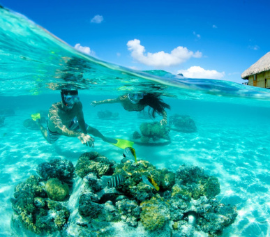 Фото Bora Bora Pearl Beach Resort (Французская Полинезия, о. Бора Бора) 37