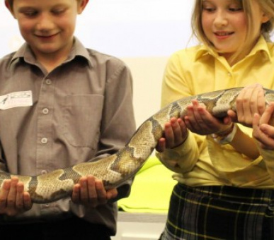 Фото Dragon School, Oxford (Великобритания, Подготовительная школа) 12