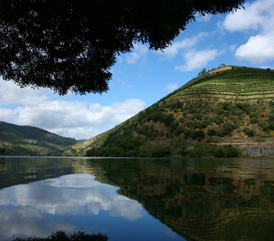 Фото Six Senses Douro Valley (Португалия, Порто) 46