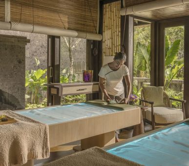 Картинка Four Seasons Resort Bali at Sayan (Индонезия, Бали) 18 Фото Four Seasons Resort Bali at Sayan (Индонезия, Бали) 18