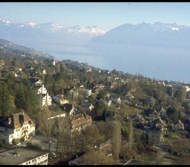 Фото Ecole Nouvelle de la Suisse Romande (Швейцария, Детские лагеря) 16