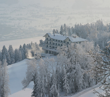 Фото Hotel Villa Honegg (Швейцария, Эннетбюрген) 22