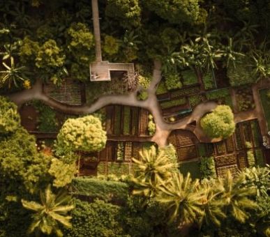 Картинка Soneva Fushi (, Мальдивские острова) 8 Фото Soneva Fushi (, Мальдивские острова) 8