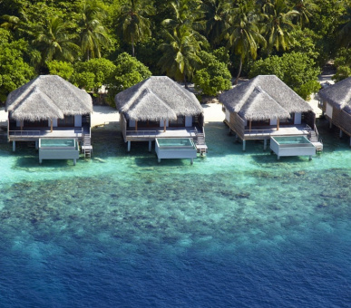 Фото Dusit Thani Maldives (, Мальдивские острова) 6