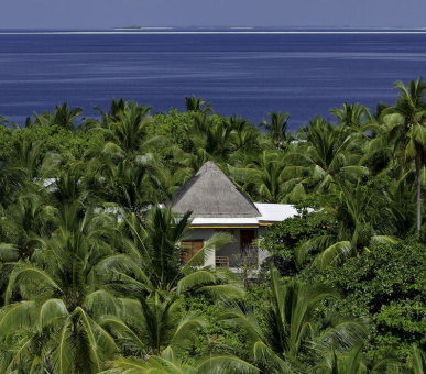 Фото Amilla Fushi Resort (, Мальдивские острова) 41