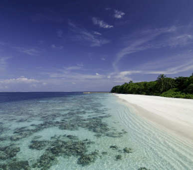 Фото Amilla Fushi Resort (, Мальдивские острова) 74
