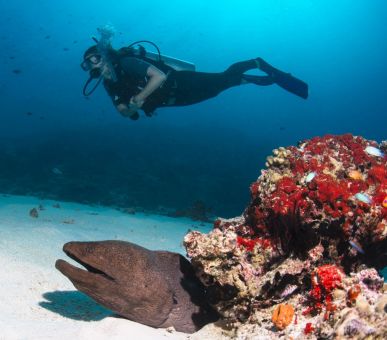 Фото Gili Lankanfushi Maldives 7