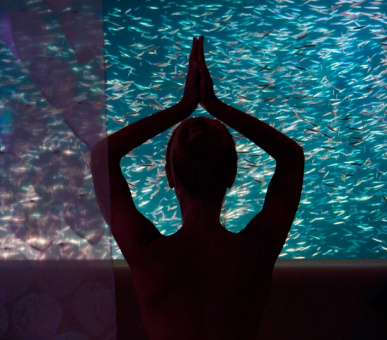 Фото Huvafen Fushi Spa Resort 46