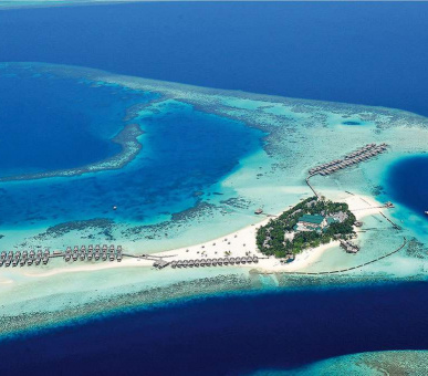 Фото Constance Moofushi Resort (, Мальдивские острова) 1