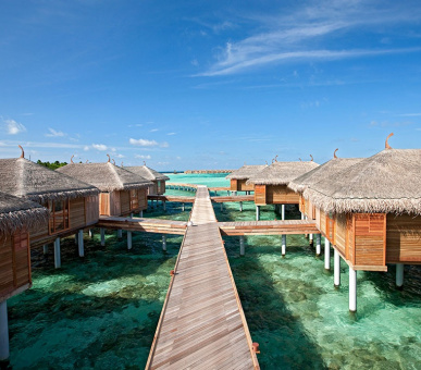Фото Constance Moofushi Resort (, Мальдивские острова) 29