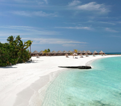 Фото Constance Moofushi Resort (, Мальдивские острова) 16