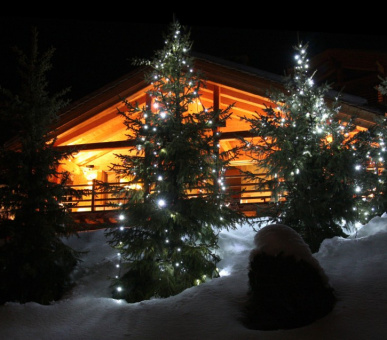 Фото Chalet Spa Verbier (Швейцария, Вербье) 11