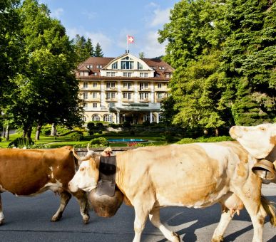 Фото Le Grand Bellevue (Швейцария, Гштаад) 4