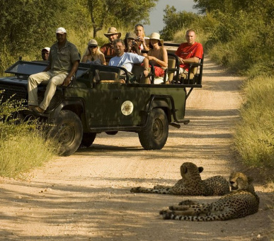 Фото Makalali Private Game Reserve (ЮАР, Лимпопо) 6