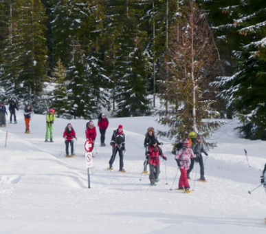 Картинка TASIS - The American School in Switzerland (Швейцария, Школы) 7 Фото TASIS - The American School in Switzerland (Швейцария, Школы) 7