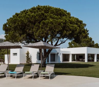 Картинка 6 Фото 6