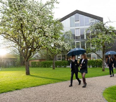 Картинка 5 Фото 5