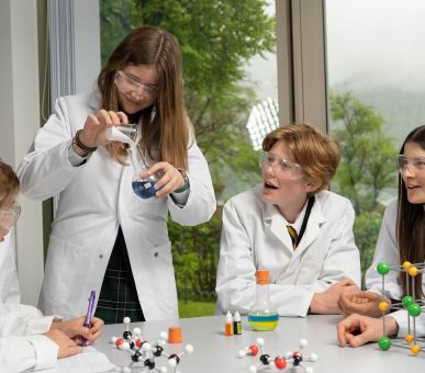 Картинка 2 Фото 2