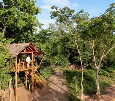 Фото Elephant Corridor (Шри Ланка, Cигирия) 8