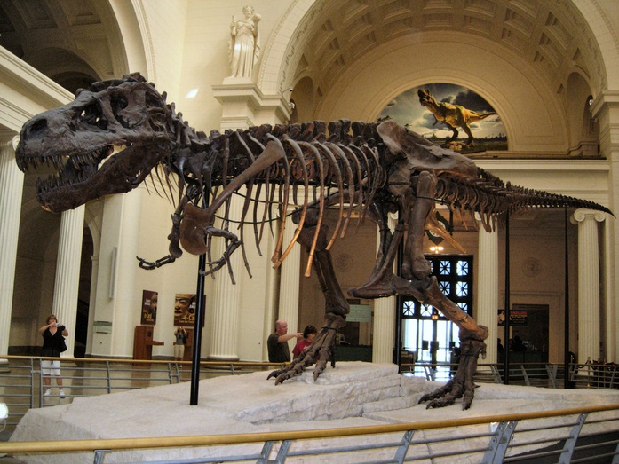 Лучшие музеи динозавров в мире