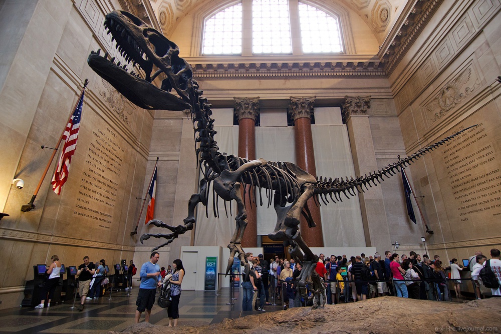 Лучшие музеи динозавров в мире