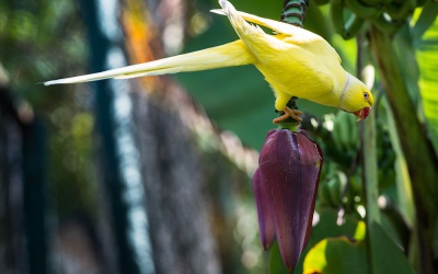 Фото  4