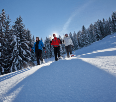 Зимові канікули в LES FERMES DE MARIE Megeve