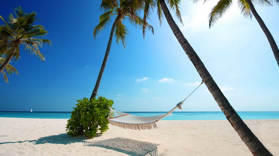Чего ожидать этим летом на солнечных Мальдивах?